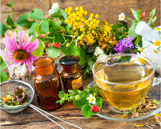 Основные понятия о фитотерапии (часть 2) - Корсун _0.png